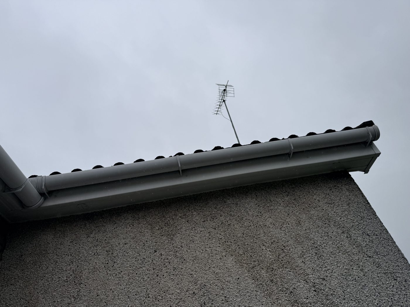 Gutter cleaning