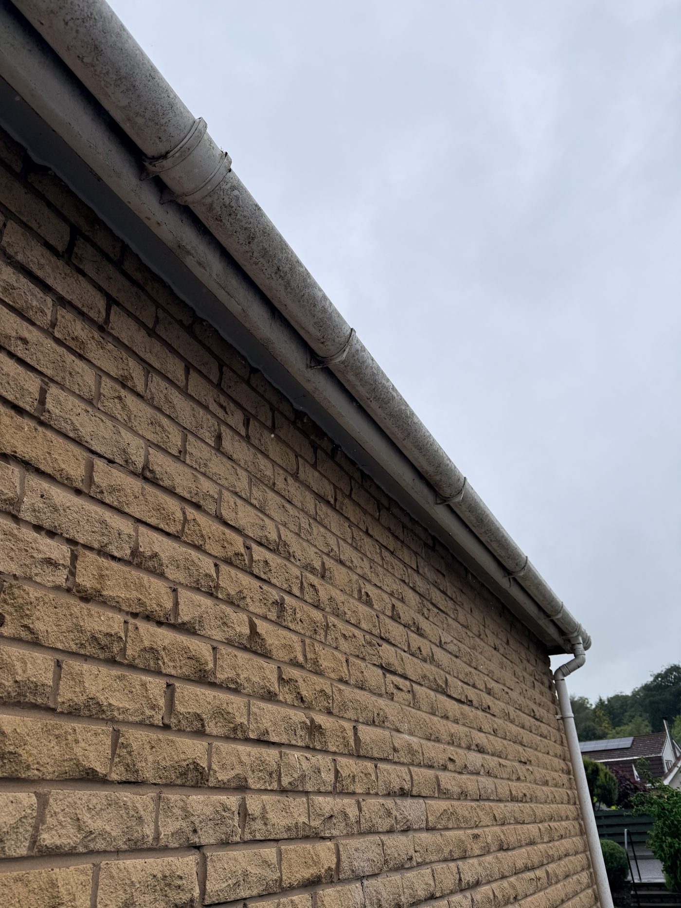 Gutter & fascia clean