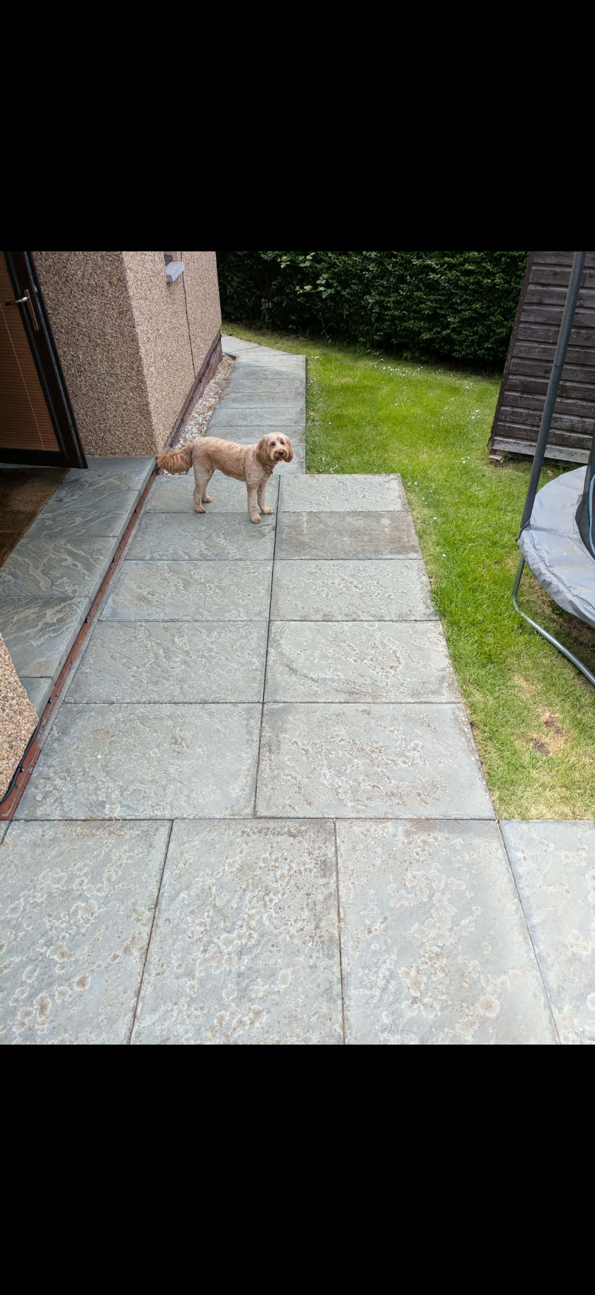 Cleaned patio & path