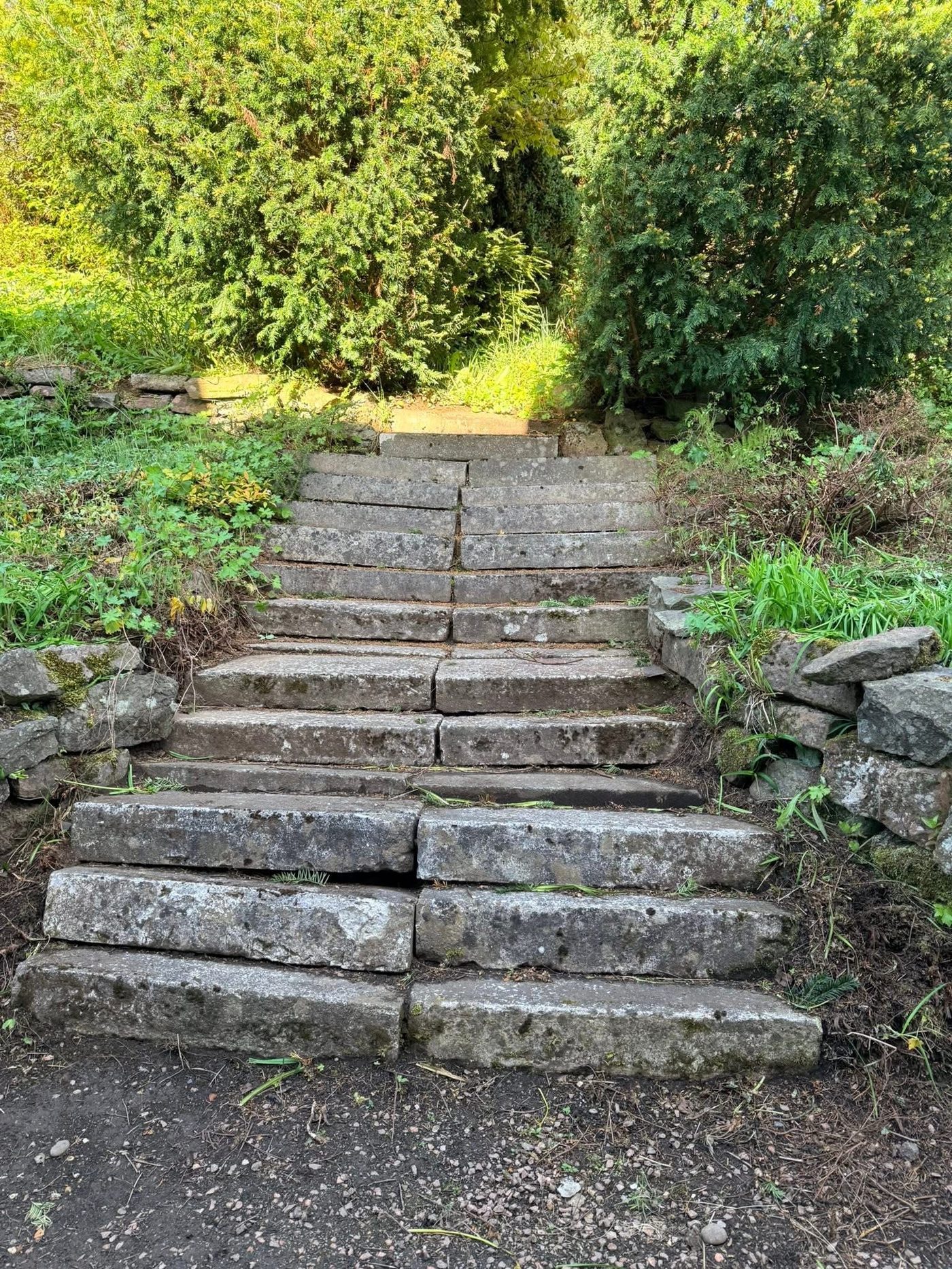 Patio cleaning